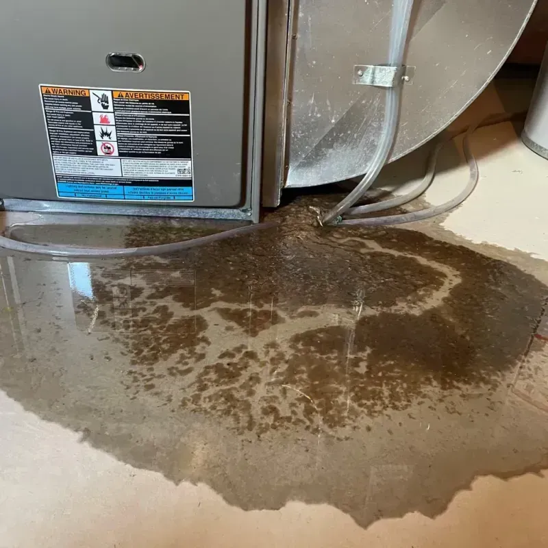 Appliance Leak Cleanup in East End, AR